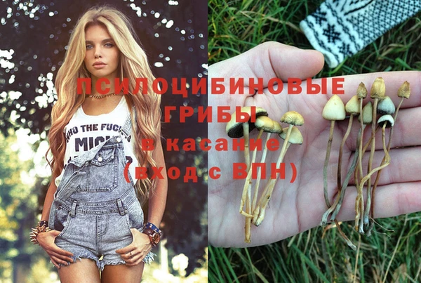 прущая мука Лагань